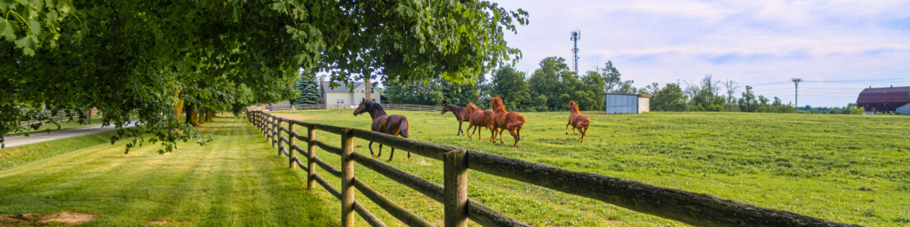 Union County’s Wealthiest Enclaves